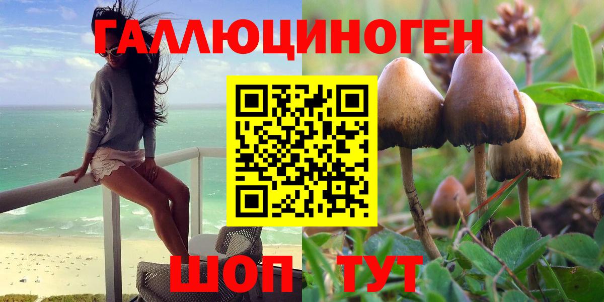 Псилоцибиновые грибы мухоморы  Галлюциногенные грибы GOLDEN TEACHER  Вход с VPN  Клинцы 