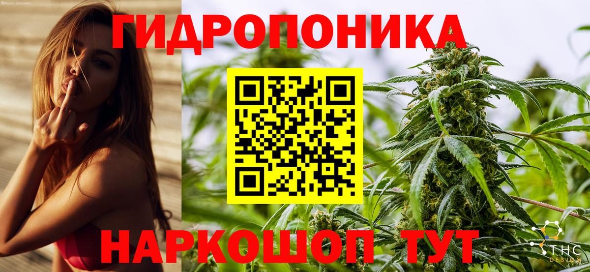 Шишки марихуана Bruce Banner  Канабис LSD WEED  Марихуана ГИДРОПОН  Клинцы  Вход с VPN  Каннабис гибрид 